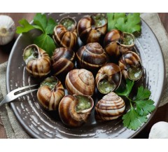 Snails in Garlic Butter (12 in a Pack 125g)